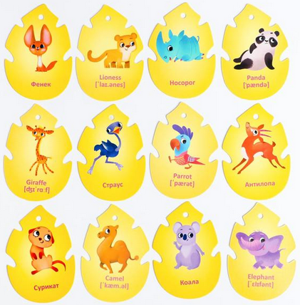 Карточки на кольце 20шт обучающие 3+ Арт-4773880/81/83/84