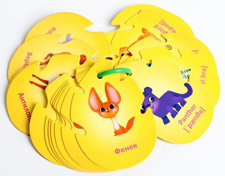 Карточки на кольце 20шт обучающие 3+ Арт-4773880/81/83/84