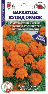 Цветы Бархатцы Купид Оранж ЦВ/П (СОТКА) 0,1гр однолетник прямостоячие 30-35см
