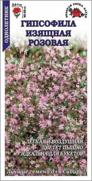 Цветы Гипсофила Розовая ЦВ/П (СОТКА) 0,3гр однолетник сухоцвет 40-50см