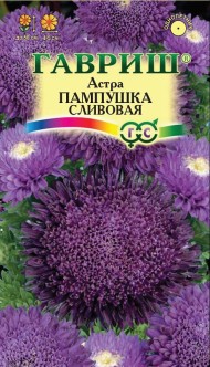 Цветы Астра Пампушка Сливовая ЦВ/П (ГАВРИШ) 0,3гр помпонная однолетник 50см