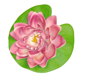 Фигурка водоплавающая Цветок D-20см Фигурка водоплавающая Цветок D-20см