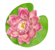 Фигурка водоплавающая Цветок D-20см