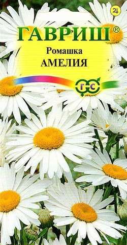 Цветы Нивяник Амелия (ромашка) ЦВ/П (ГАВРИШ) 0,2гр многолетник 40-60см