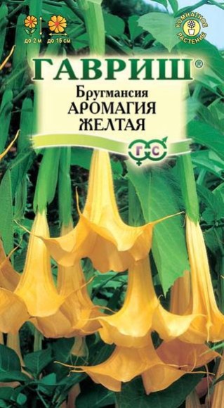 Цветы Бругмансия Аромагия Жёлтая ЦВ/П (ГАВРИШ) 3шт комнатное до 2м