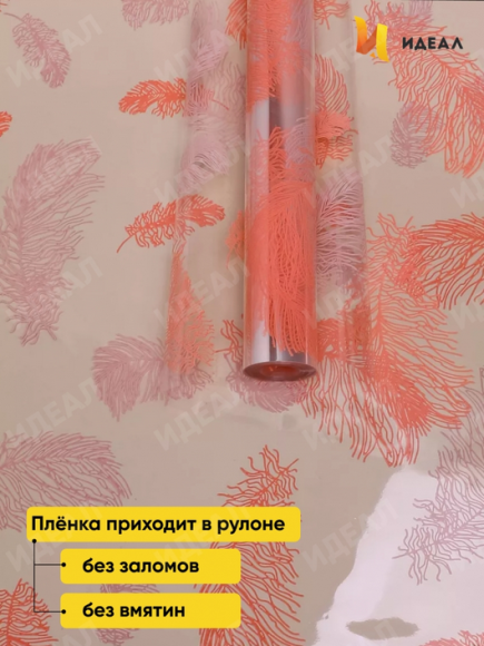 Пленка прозрачная с рисунком Пёрышки Персик 60см*8м