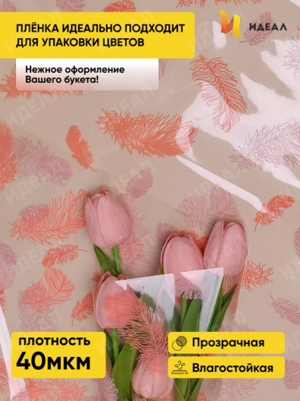 Пленка прозрачная с рисунком Пёрышки Персик 60см*8м