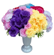 Букет Гвоздик 18 голов 42.2см W-11 Букет Гвоздик 18 голов 42.2см W-11