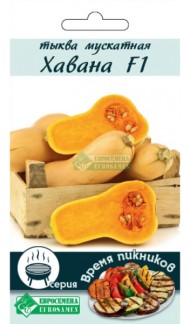 Тыква Хавана мускатная F1 ЦВ/П (ЕС) 3шт среднеранний длинноплетистый