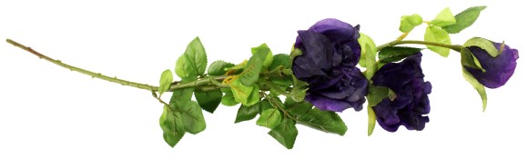 Роза букетная крупноцвет.на 3цветка 74см фиолет