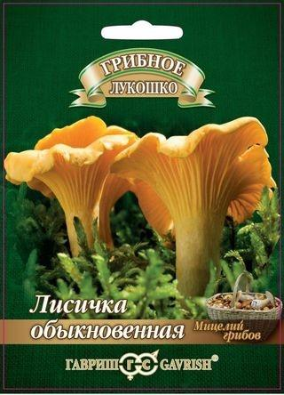 Грибы Лисички на зерновом субстрате (ГАВРИШ) 15мл