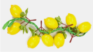 Вязанка Лимон длина ветки 40см