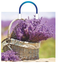 Сумочка пакет п/э пластик ручка 380*340мм Корзинка нежности Арт-58462