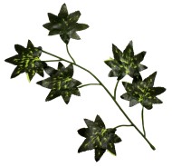 Лист Клена маленький 1/12шт 6 веток 23см Лист Клена маленький 1/12шт 6 веток 23см