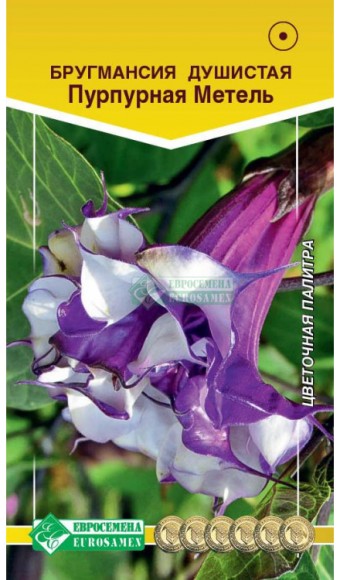 Цветы Бругмансия Пурпурная метель ЦВ/П (ЕС) 3шт однолетник до 3м