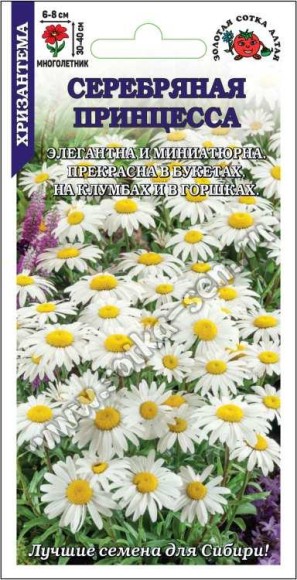 Цветы Хризантема Серебряная Принцесса ЦВ/П (СОТКА) 0,2гр многолетник 30-40см