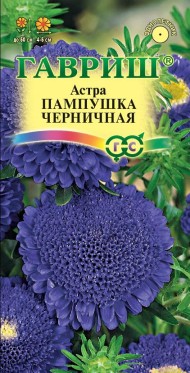 Цветы Астра Пампушка Черничная ЦВ/П (ГАВРИШ) 0,3гр помпонная однолетник 50см Цветы Астра Пампушка Черничная ЦВ/П (ГАВРИШ) 0,3гр помпонная однолетник 50см