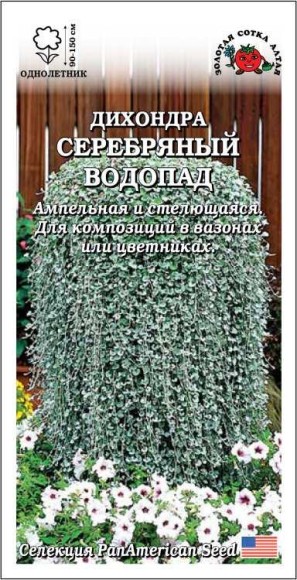 Цветы Дихондра Серебряный Водопад ЦВ/П (СОТКА) 3шт однолетник до 1,5м