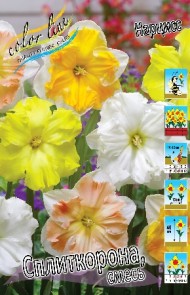 Нарциссы Смесь Сплиткорона (1уп/3шт)
