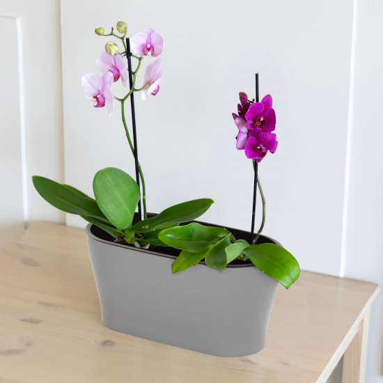 Балконный ящик Лея 300мм Серый (с дренажной системой) Арт-М-8591