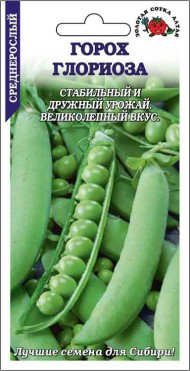 Горох Глориоза ЦВ/П (СОТКА) 10гр раннеспелый 70см