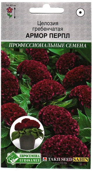Цветы Целозия гребенчатая Армор Перпл ЦВ/П (ЕС) 10шт однолетник сухоцвет 40см