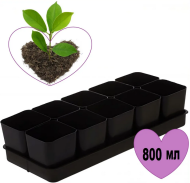 Набор для рассады Ангарск №-4 стаканы 800мл*10шт + поддон 450*180*100мм