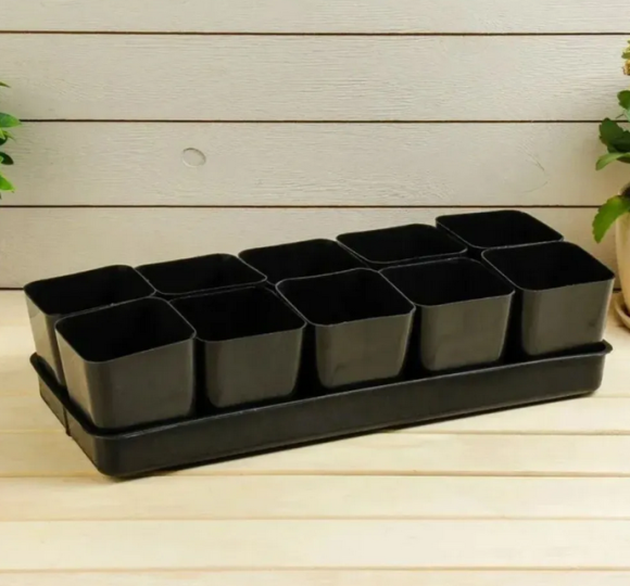 Набор для рассады Ангарск №-4 стаканы 800мл*10шт + поддон 450*180*100мм Набор для рассады Ангарск №-4 стаканы 800мл*10шт + поддон 450*180*100мм
