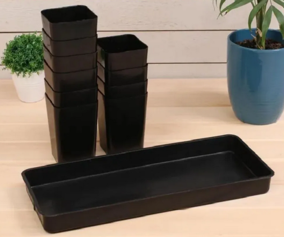 Набор для рассады Ангарск №-4 стаканы 800мл*10шт + поддон 450*180*100мм Набор для рассады Ангарск №-4 стаканы 800мл*10шт + поддон 450*180*100мм