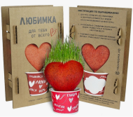 Травянчик Любимка прорастающий сувенир (1кор/11шт)