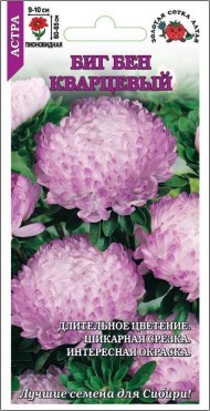 Цветы Астра Биг Бен Кварцевая ЦВ/П (СОТКА) 0,2гр однолетник до 65см