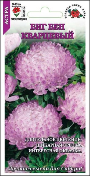 Цветы Астра Биг Бен Кварцевая ЦВ/П (СОТКА) 0,2гр однолетник до 65см Цветы Астра Биг Бен Кварцевая ЦВ/П (СОТКА) 0,2гр однолетник до 65см
