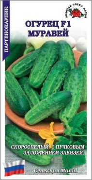 Огурец Муравей F1 ЦВ/П (СОТКА) 0,15гр скороспелый партенокарпический Огурец Муравей F1 ЦВ/П (СОТКА) 0,15гр скороспелый партенокарпический
