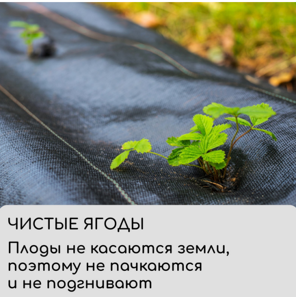 Упаковка Агроткань застилочная Чёрная М-100 шир 3,2м /длина 5метр