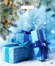 Сумочка пакет п/э 380*450мм Подарки зимы Арт-56823