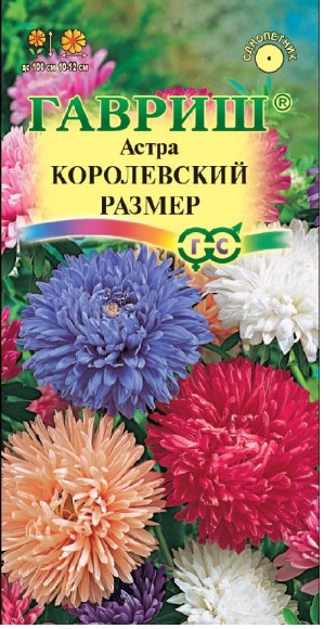 Цветы Астра Королевский размер Смесь ЦВ/П (ГАВРИШ) 0,3гр пионовидная однолетник до 1м