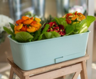 Балконный ящик Прованс 9,5лит Ментол 580*170*130мм с прикорневым поливом