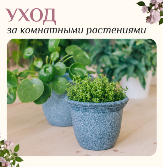 Набор Инвентаря 3 предмета GREENGO Арт-4166780