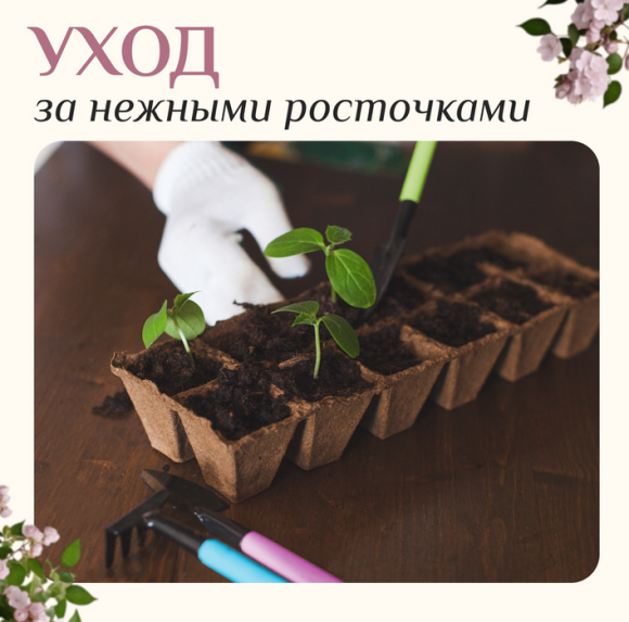 Набор Инвентаря 3 предмета GREENGO Арт-4166780