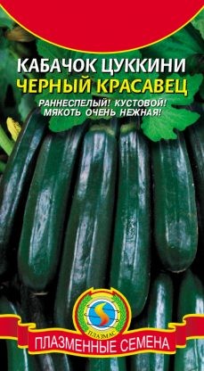 Кабачок Цуккини Чёрный красавец ЦВ/П (ПЛАЗМА) 10шт среднеранний кустовой т-зелёный
