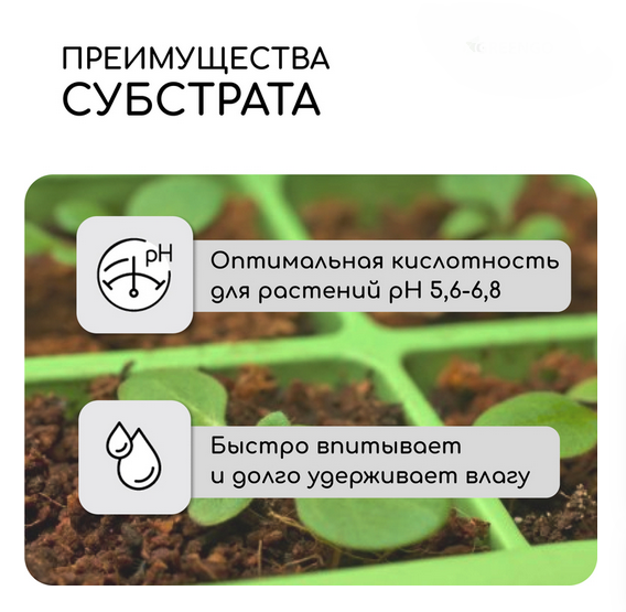 Кокосовые Чипсы 5лит Greengo Арт-5151597 (1уп/1шт) 1 этаж