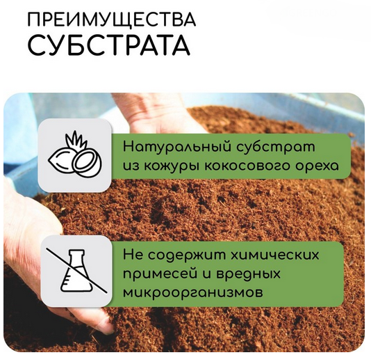 Кокосовые Чипсы 5лит Greengo Арт-5151597 (1уп/1шт) 1 этаж