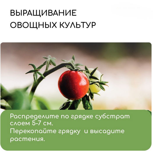 Кокосовые Чипсы 5лит Greengo Арт-5151597 (1уп/1шт) 1 этаж