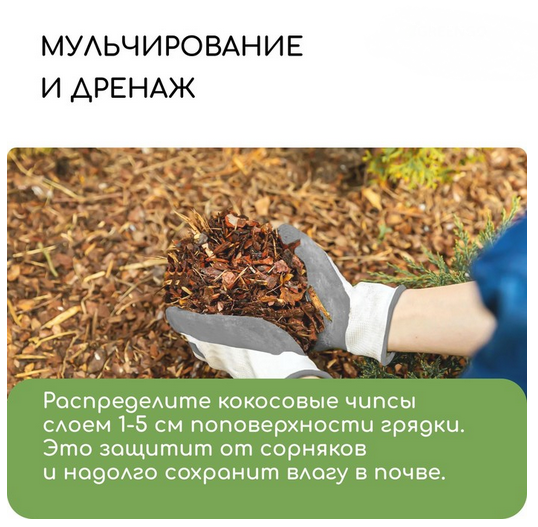 Кокосовые Чипсы 5лит Greengo Арт-5151597 (1уп/1шт) 1 этаж