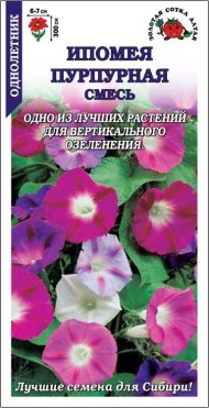 Цветы Ипомея Пурпурная Смесь ЦВ/П (СОТКА) 1гр однолетник до 3м