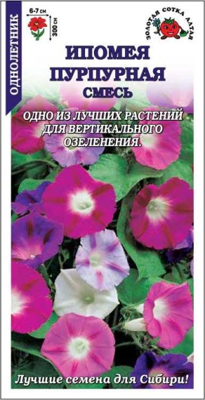 Цветы Ипомея Пурпурная Смесь ЦВ/П (СОТКА) 1гр однолетник до 3м Цветы Ипомея Пурпурная Смесь ЦВ/П (СОТКА) 1гр однолетник до 3м