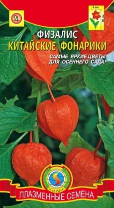 Цветы Физалис Китайские фонарики ЦВ/П (ПЛАЗМА)
