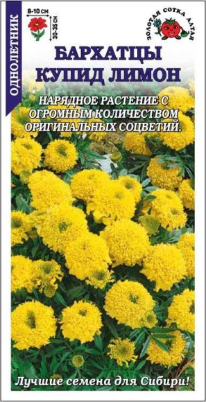 Цветы Бархатцы Купид Лимон ЦВ/П (СОТКА) 0,1гр однолетник прямостоячие 30-35см