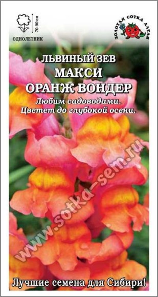 Цветы Львиный Зев Макси Оранж вондер ЦВ/П (СОТКА) 0,1гр однолетник 75-90