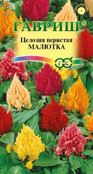 Цветы Целозия перистая Малютка Смесь ЦВ/П (ГАВРИШ) 0,01гр однолетник сухоцвет 30см